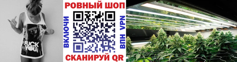 Кетамин Плёс